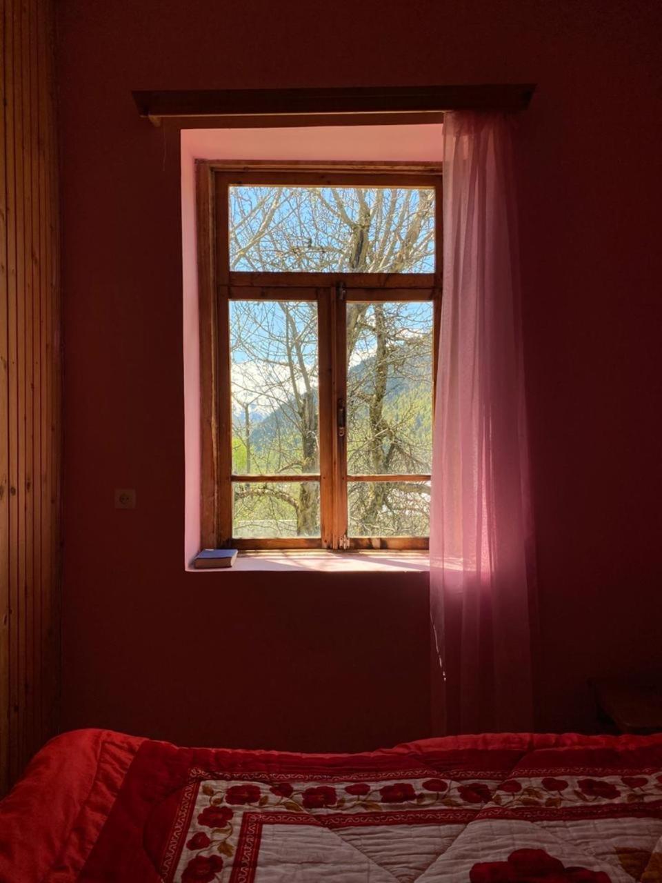 Lia Jamdeliani Guest House Bagvdanari Zimmer foto