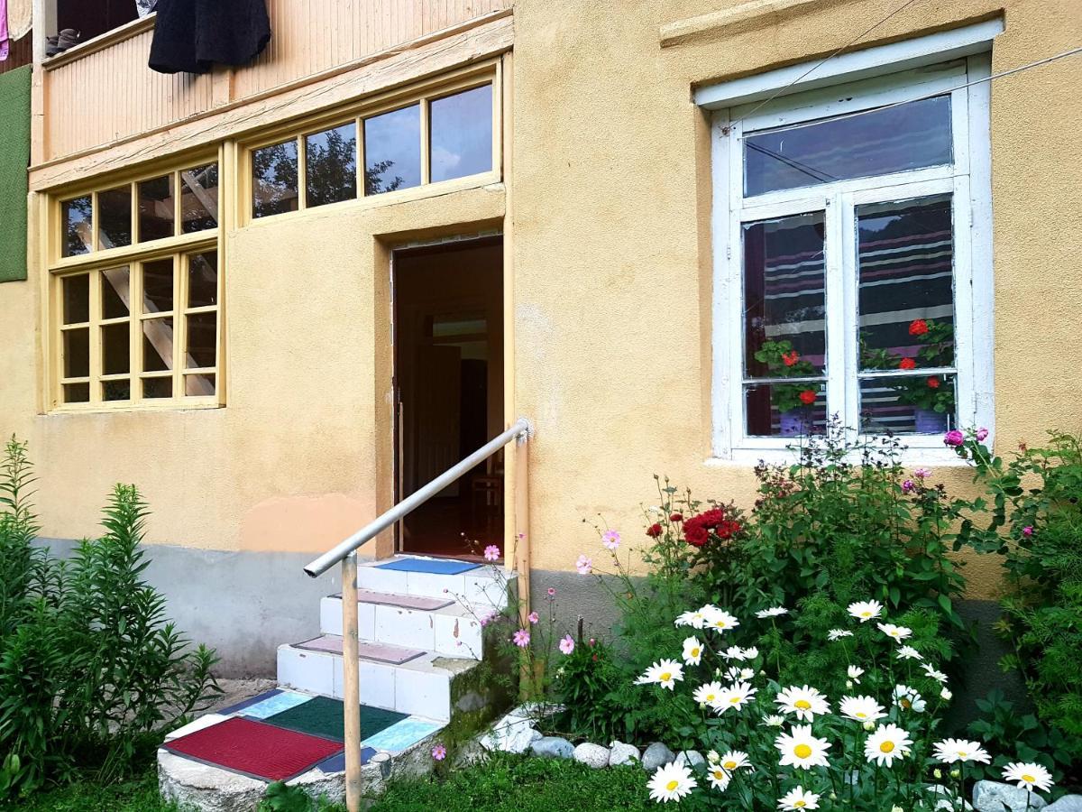 Lia Jamdeliani Guest House Bagvdanari Exterior foto